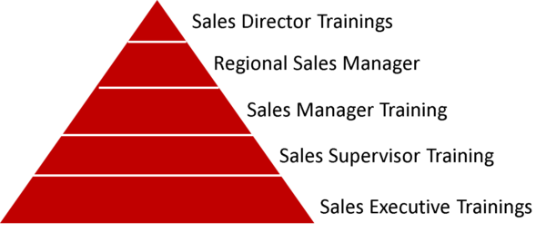 Levels of Sales Training Programs